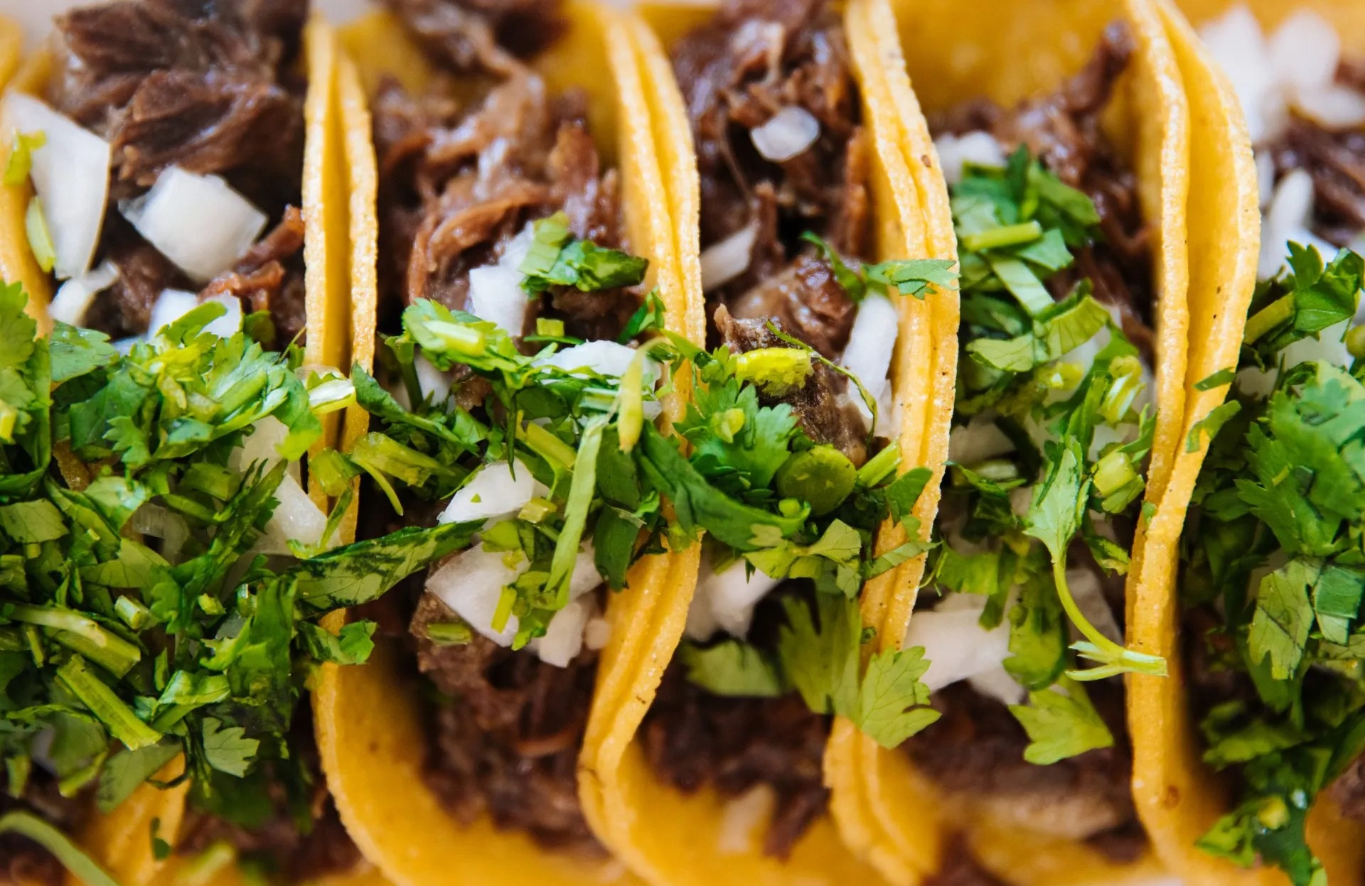 Close-up of Mexican street tacos with slow-cooked beef, onion and coriander at Cancun Eats in Blenheim